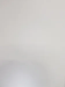 DETAĻA LAMINĒTA 195X1740X16 BALTA