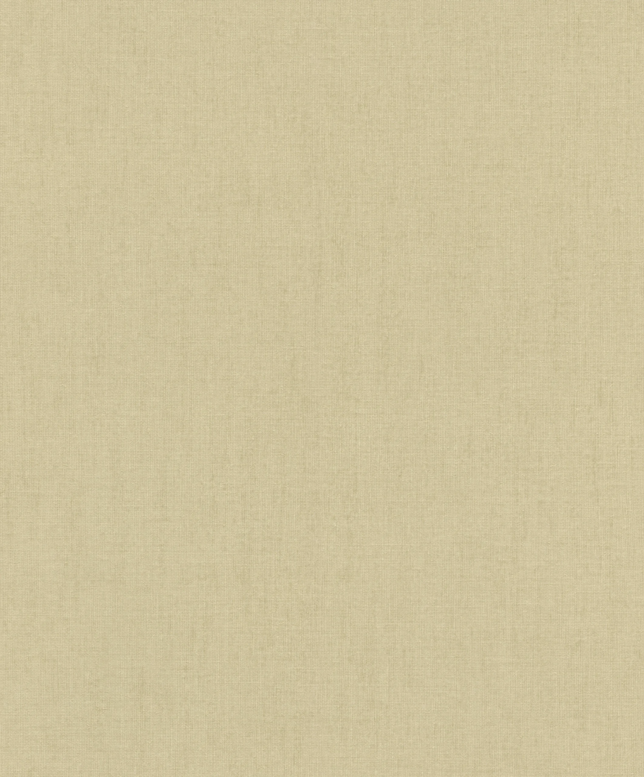 WALLPAPERS RASCH VINYL FLIZ.B. 484687 0.53