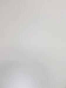DETAĻA LAMINĒTA 295X1740X16 BALTA