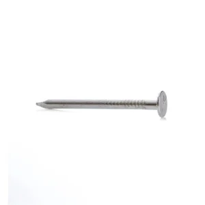 PAPES NAGLAS 2.5X32 ZN 300GR
