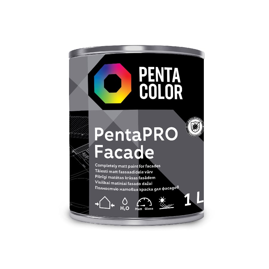 COLOR PENTACOLOR PENTAPRO FACADE WHITE 1L