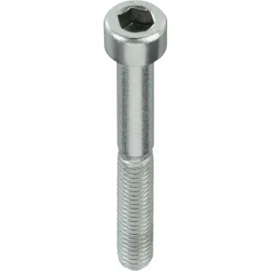 SKRŪVES DIN912 M12X90 MM ZN 50 GAB.