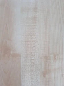 DETAĻA LAMINĒTA 195X865X16 KĻAVA