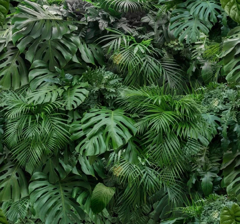 WALLPAPER 0.5X2.8MX6 119594 RAINFOREST
