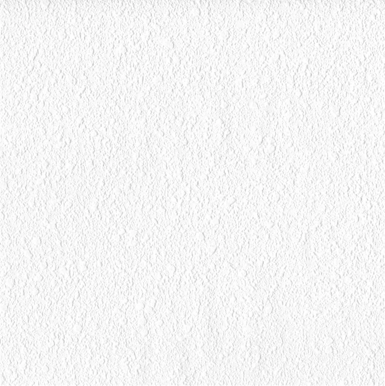 VINYL WALLPAPER RASCH-SINTRA 675700 WHITE