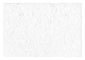 TAPETE KRĀS. 696200 1,06X25M