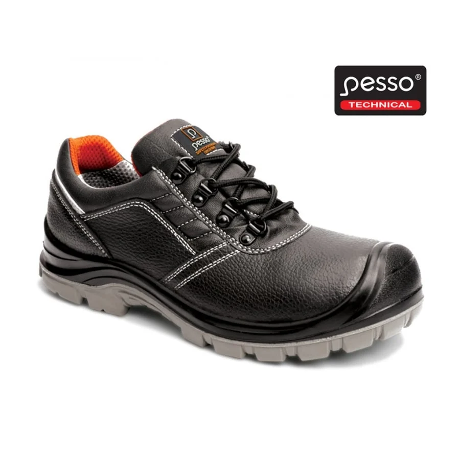 AIZSARGAPAVI B469 S3 SRC 46 PESSO