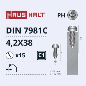 SKRŪVE PAŠGR.4.2X38 DIN7981C ZN 15GAB BL