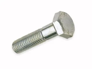 BULTSKRŪVE DIN931 12X120 ZN 2GB BL