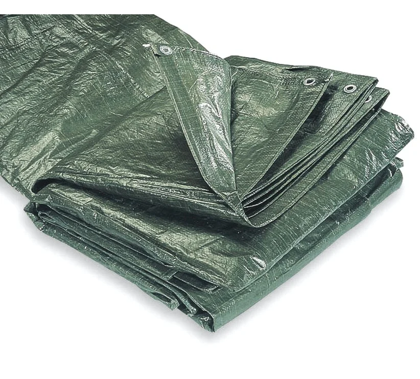 PĀRKLĀJS FXA 6X10M 100GR/M2 ZAĻŠ