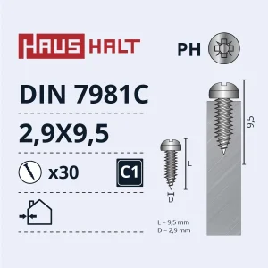 ВИНТ САМОНАВИВАЮЩИЙСЯ 2.9X9.5 DIN7981C ZN 30ШТ БЛ