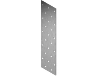 NAGLU PLĀKSNE 100X240X2 ZN