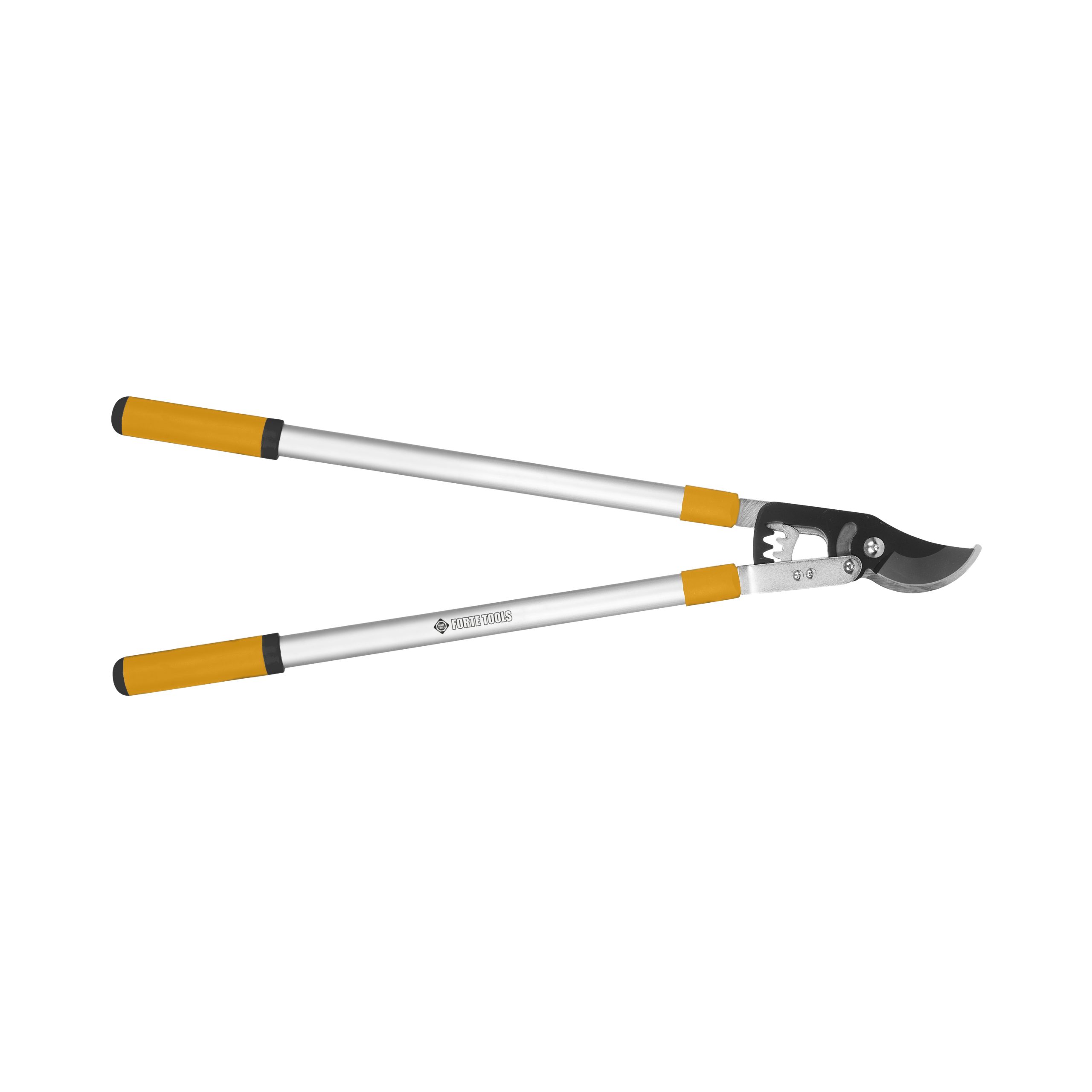 ZARU ŠĶĒRES FORTE TOOLS 45MM