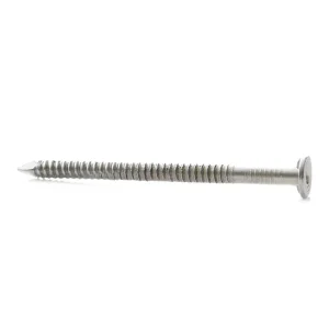 GREDZENVEIDA NAGLAS 2.8X50 ZN 1 KG