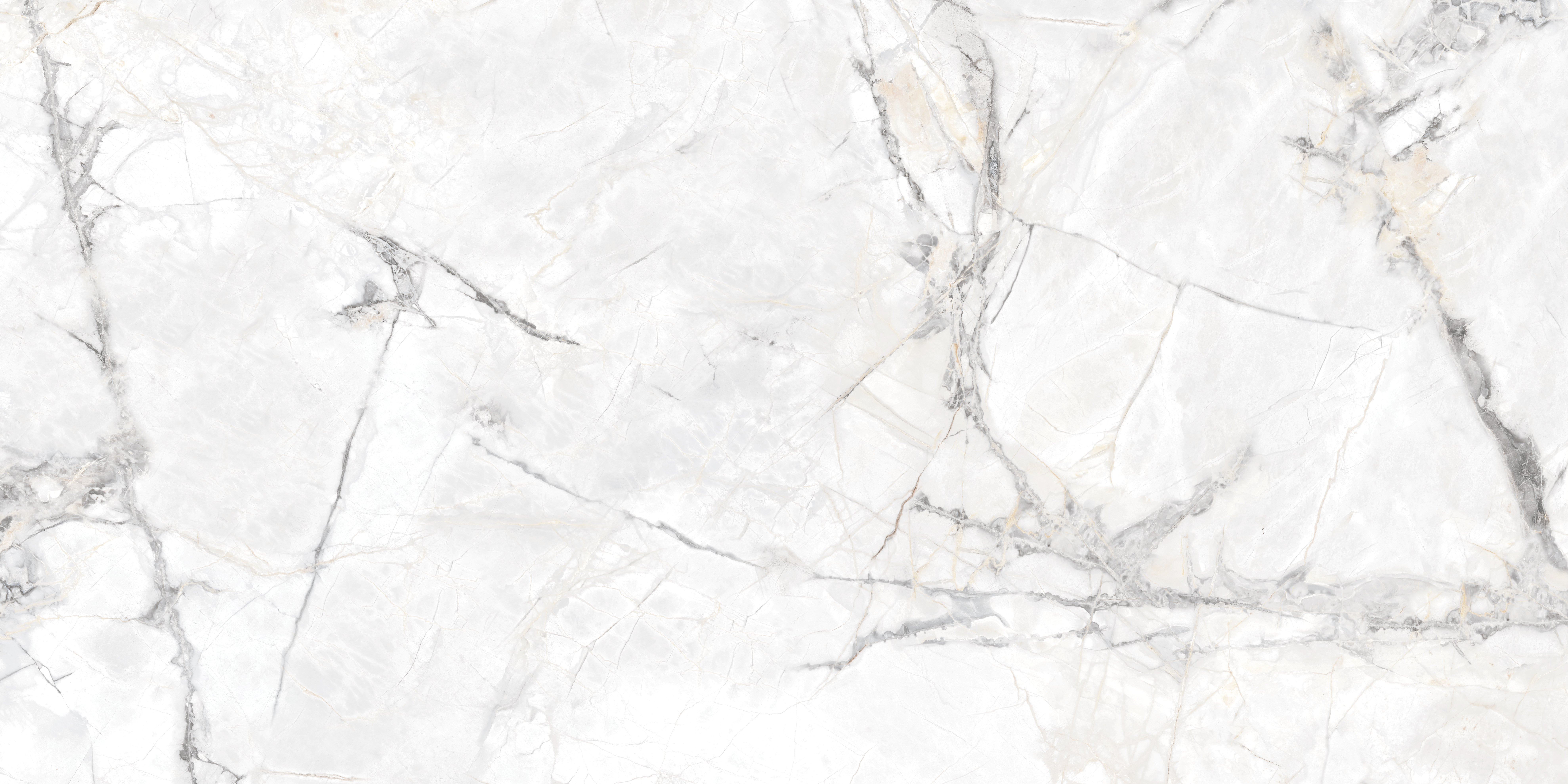 FL GRES BORGIA RECT 120X60 (1.44)