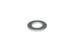 PAPLĀKSNE DIN125 D16 ZN(300)