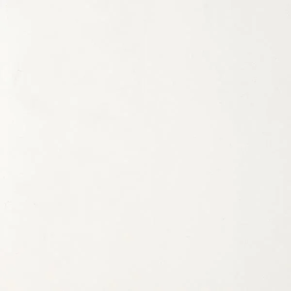 DECORATIVE PANEL WHITE 10X100X2600MM(2.6)