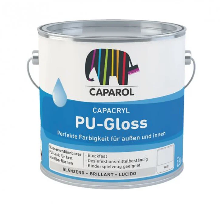 КРАСКА ДЛЯ МЕБЕЛИ CCPU-GLOSS BT 0,7