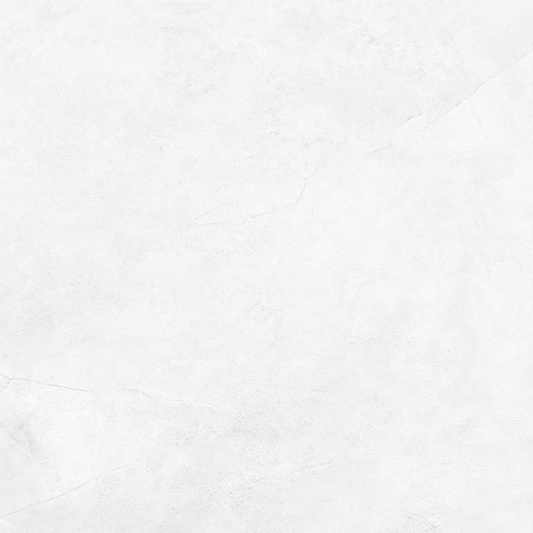 TILES AKM.M BILD WHITE BLD10 59.7X59.7