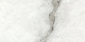 FLĪZE VINTAGE WHITE MAT REC 60X120 (1.44