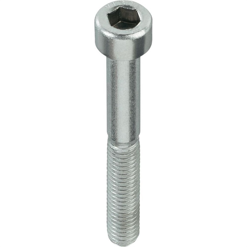 SKRŪVE DIN912 M5X10 ZN 40GB