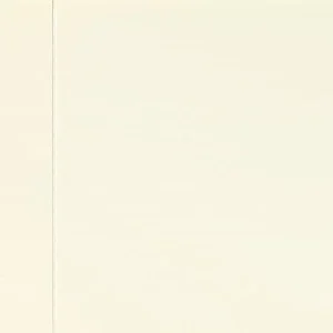 APDARES PANELIS PVC 1.2X0.25M C.WH/GLOSS