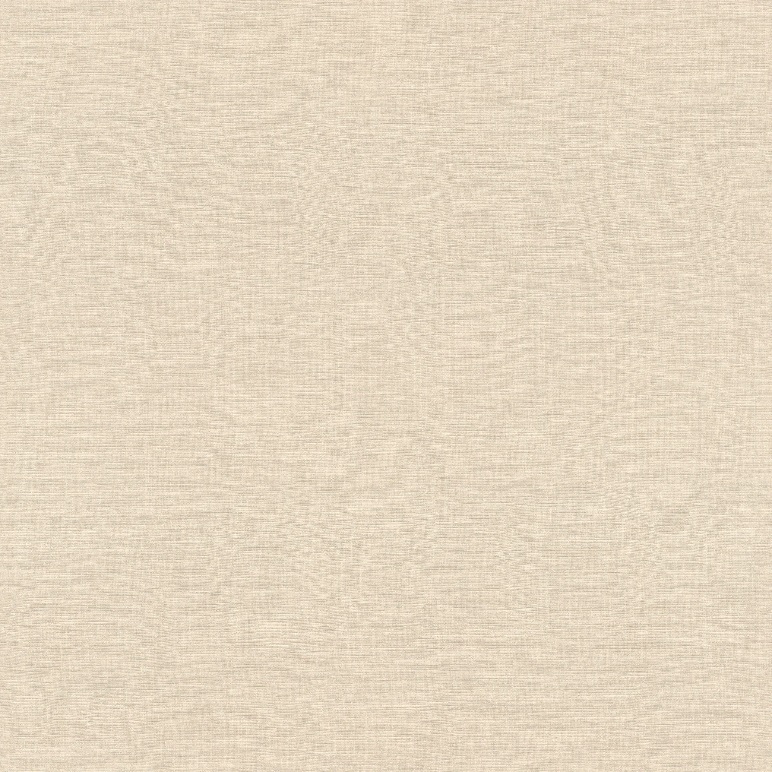 WALLPAPERS RASCH VINYL FLIZ.B. 690767 0.53