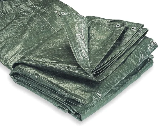 PĀRKLĀJS FXA 8X12M 100GR/M2 ZAĻŠ